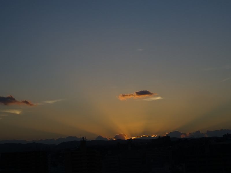 139dsc05766