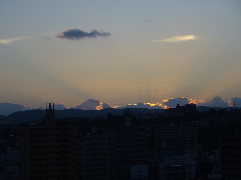 142dsc05769