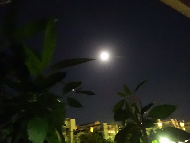 150dsc05777