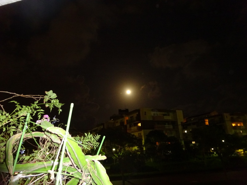 45dsc06175