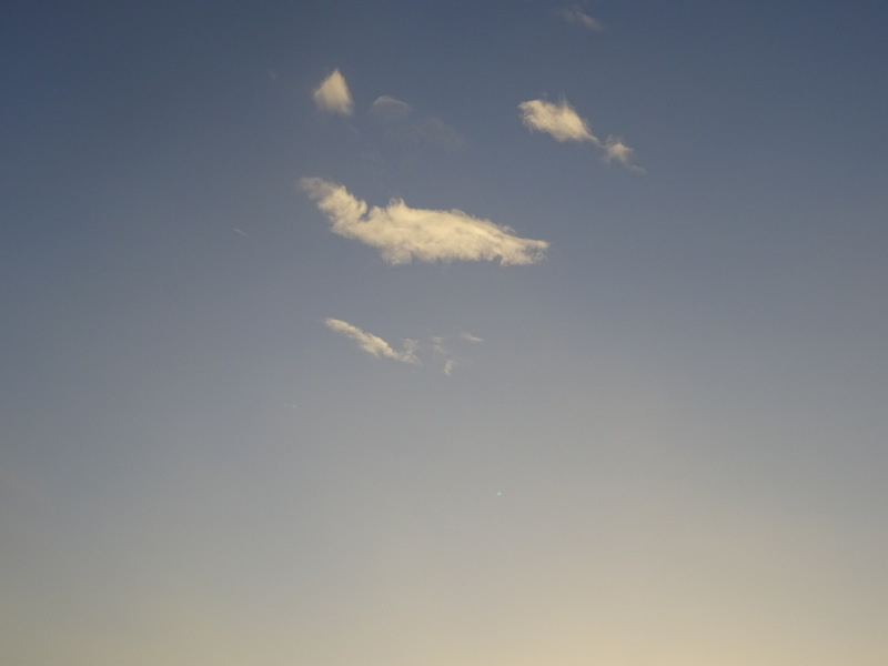 03dsc06545
