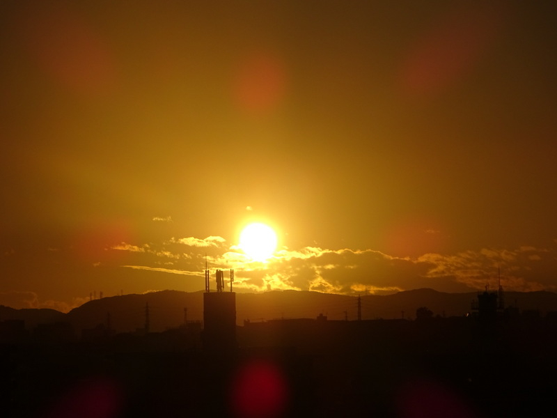 04dsc06546