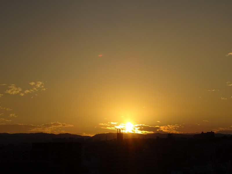 08dsc06550