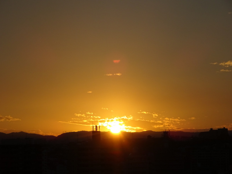 21dsc06563