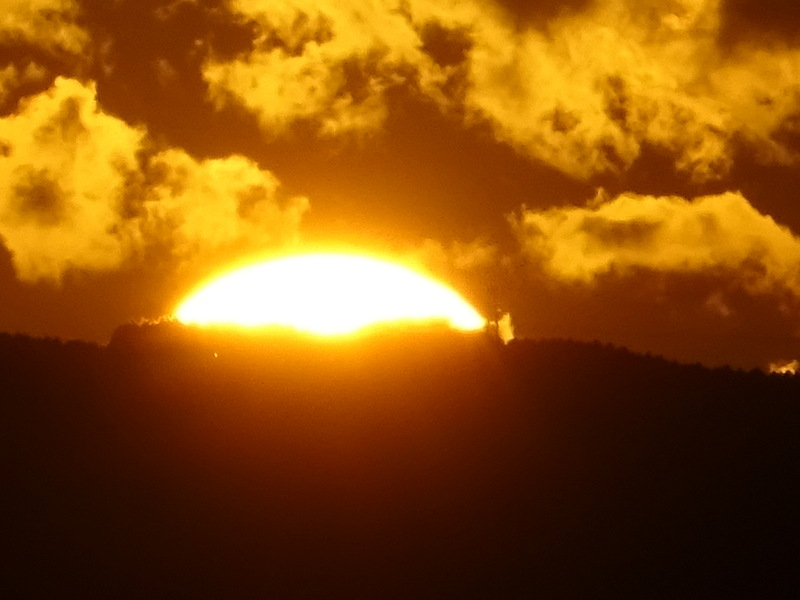 23dsc06565