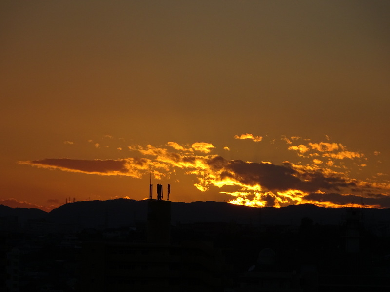 31dsc06573