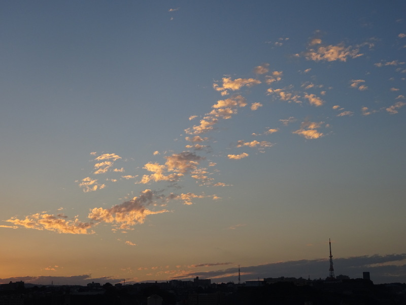 32dsc06574