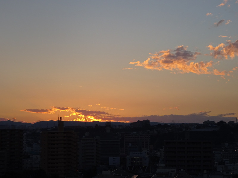 34dsc06576