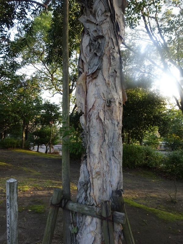 40dsc06522001