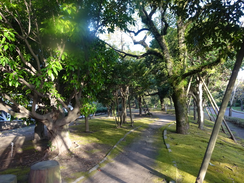 54dsc06537