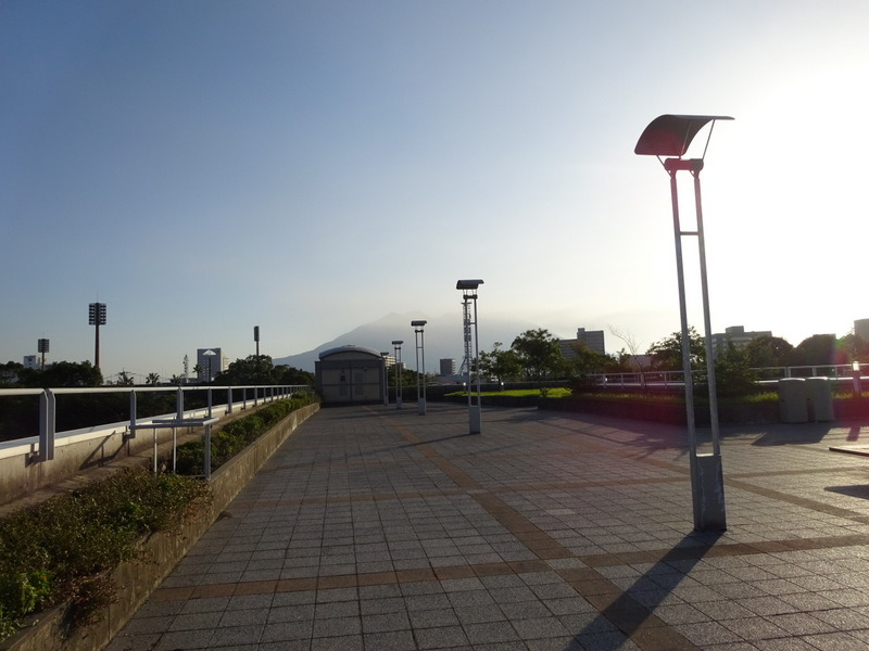 56dsc06539