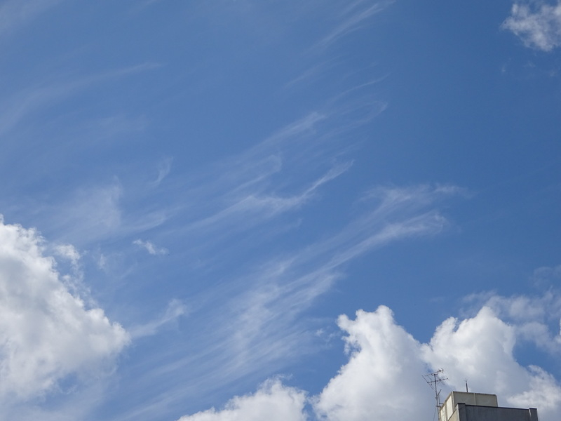 05dsc06599
