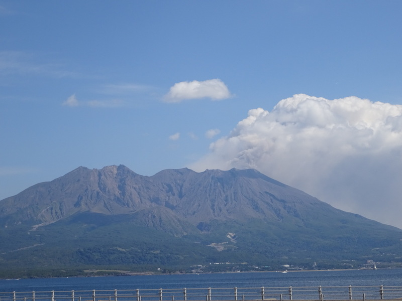 07dsc06607