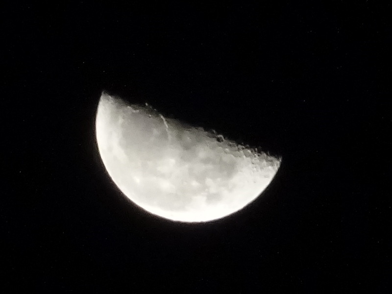 1dsc06578