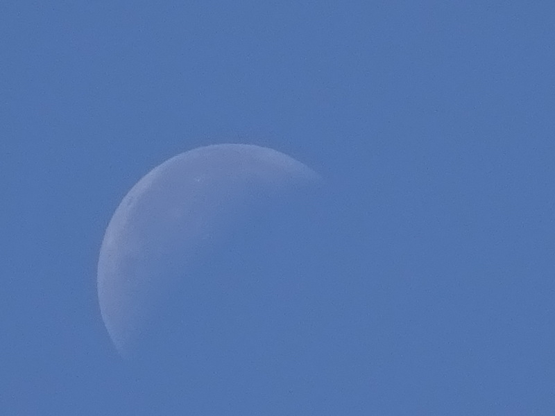 1dsc06629