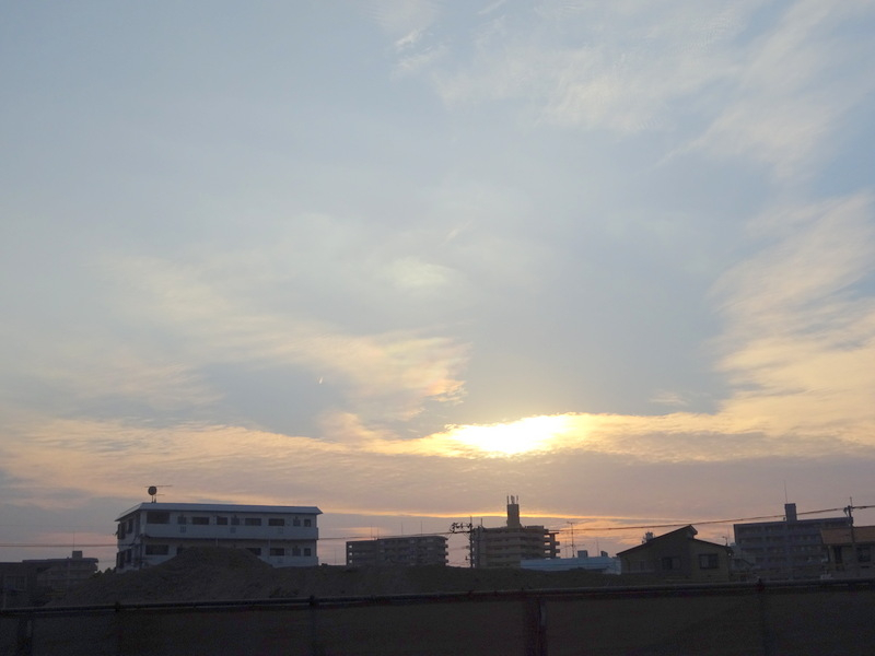 1dsc06635