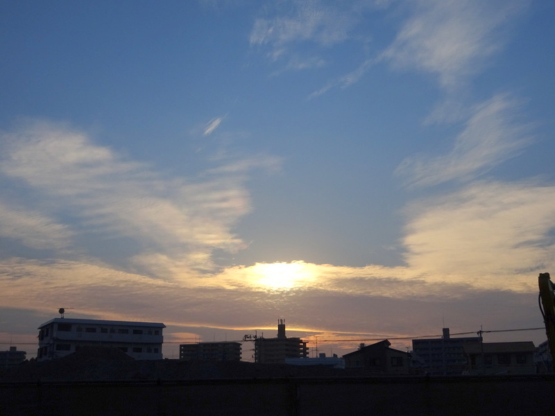 1dsc06643