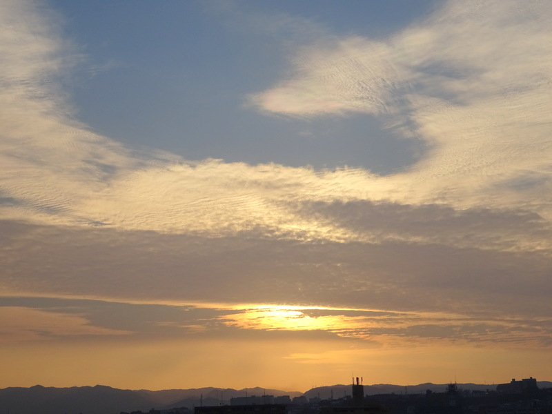 1dsc06655