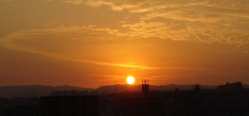 1dsc06700