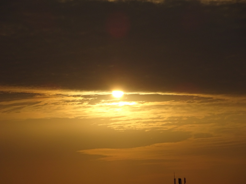 31dsc06664
