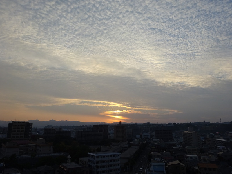 36dsc06669