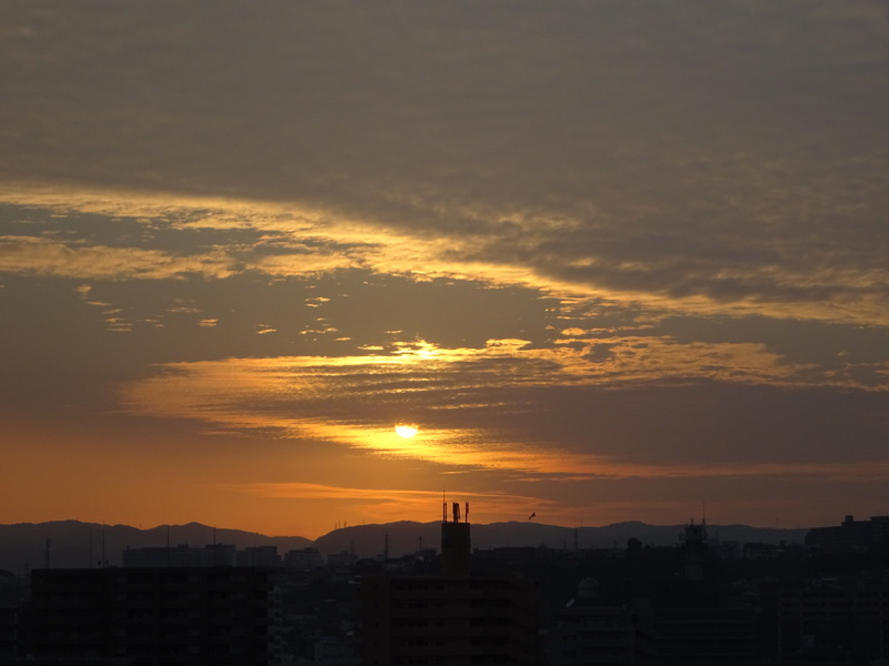 38dsc06671