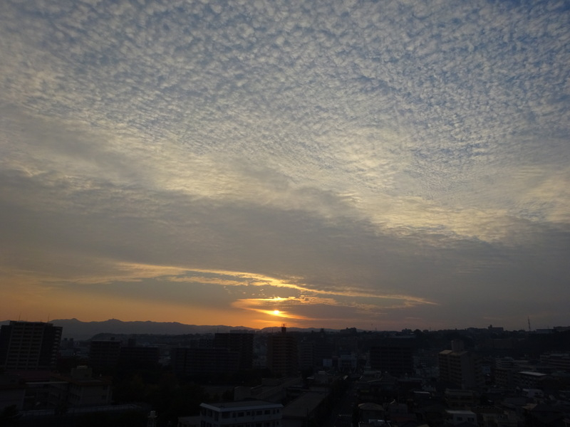 40dsc06673