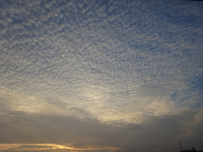 41dsc06674