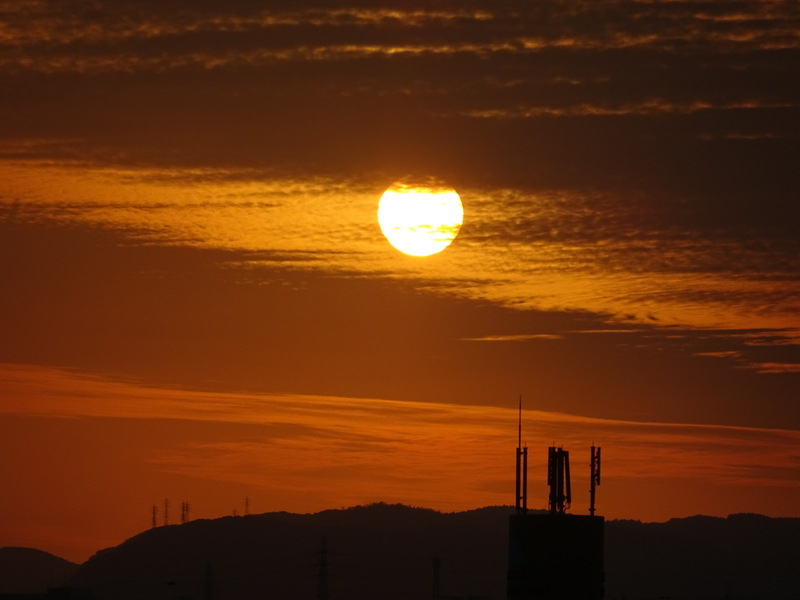46dsc06679