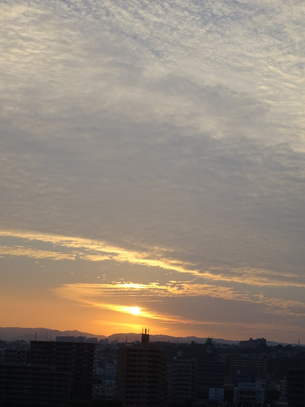 47dsc06680