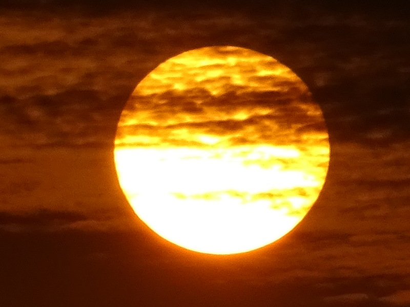 48dsc06681