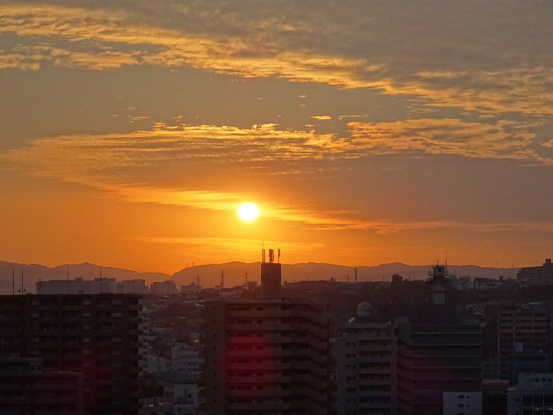 51dsc06684