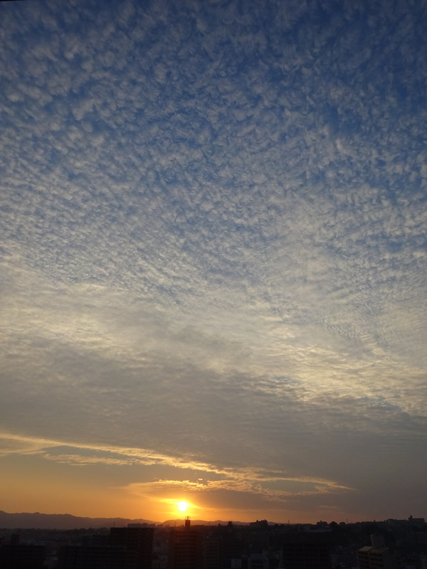 52dsc06685