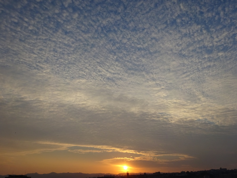 53dsc06686