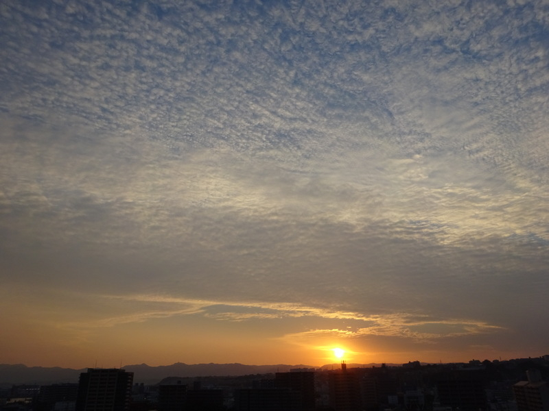 55dsc06688