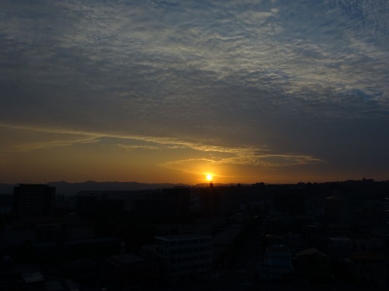 57dsc06690
