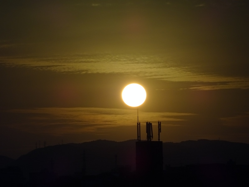 58dsc06691
