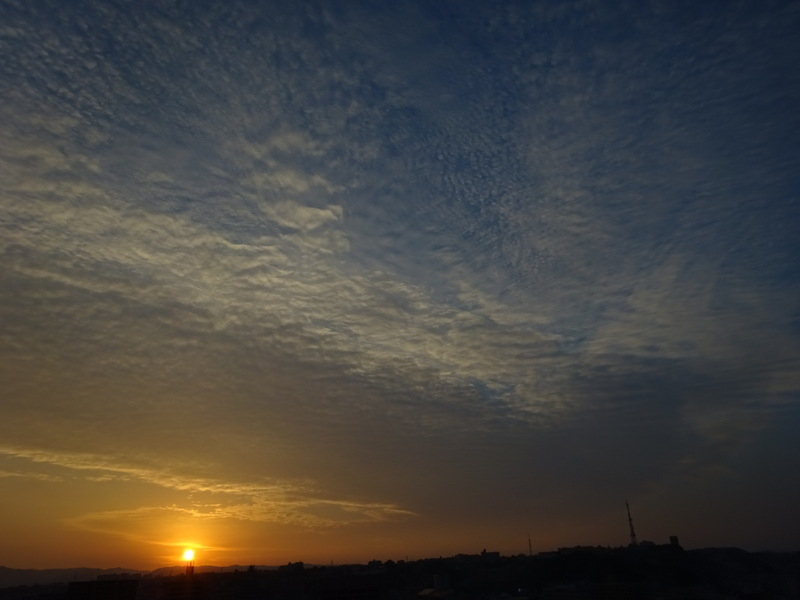 60dsc06693