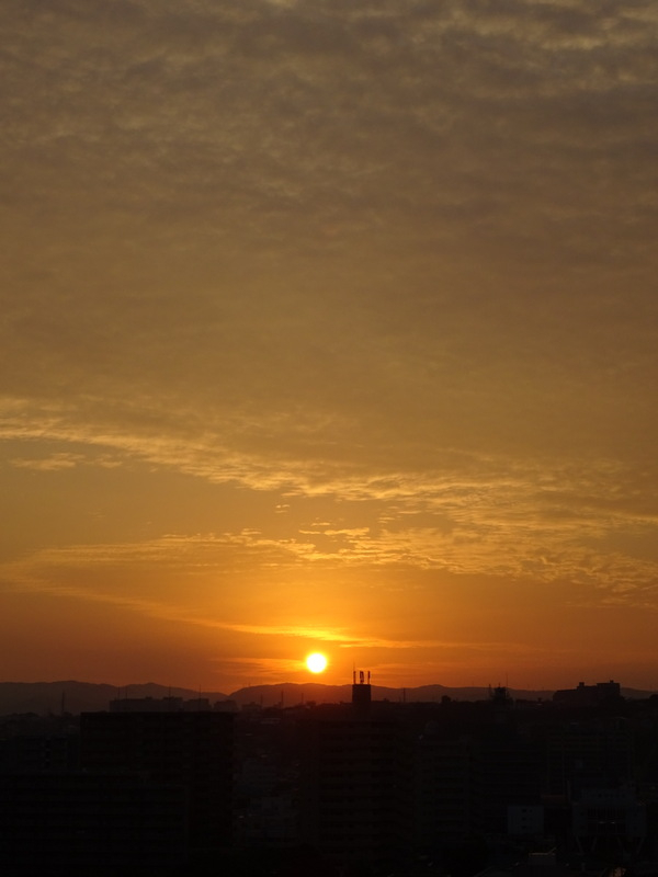 62dsc06695