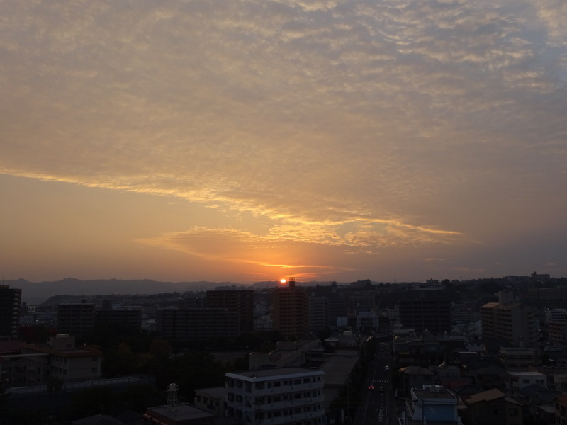 74dsc06707