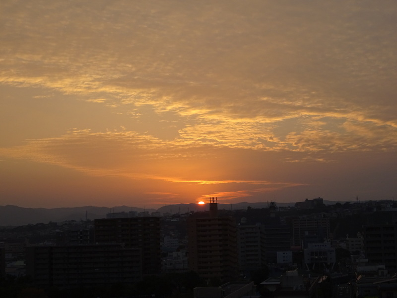 75dsc06708