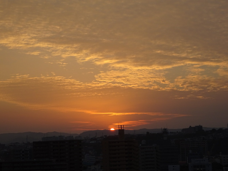 76dsc06709