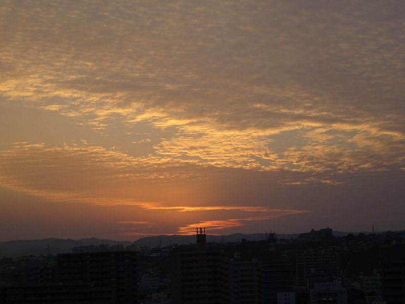 79dsc06712