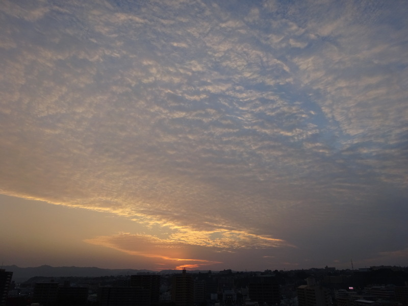 80dsc06713