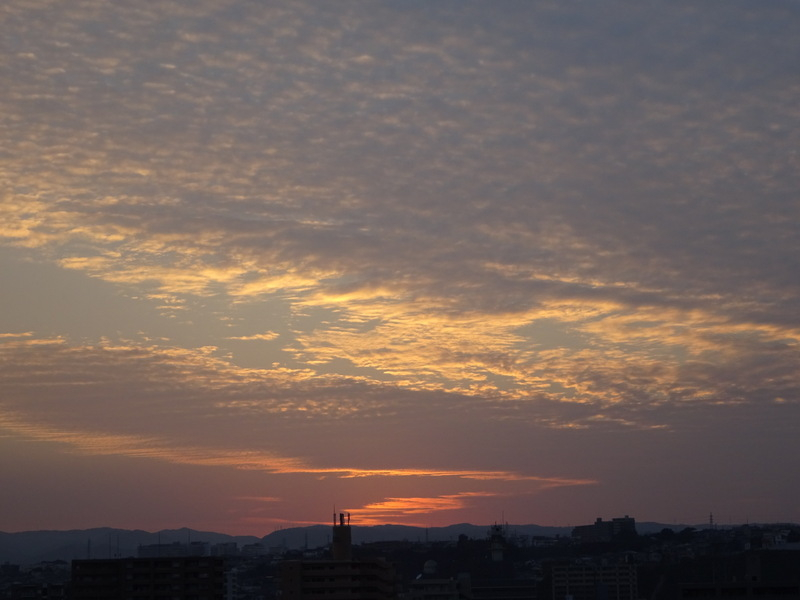 82dsc06715