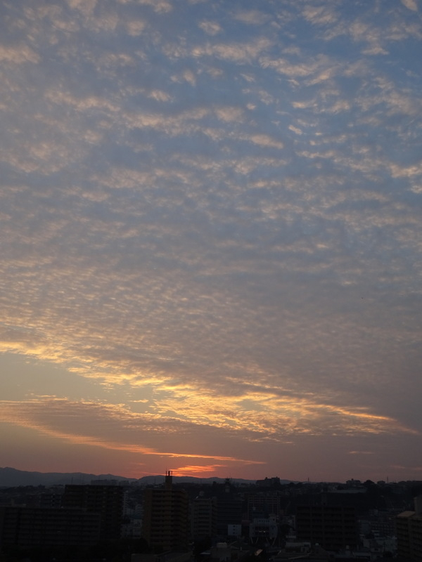 83dsc06716