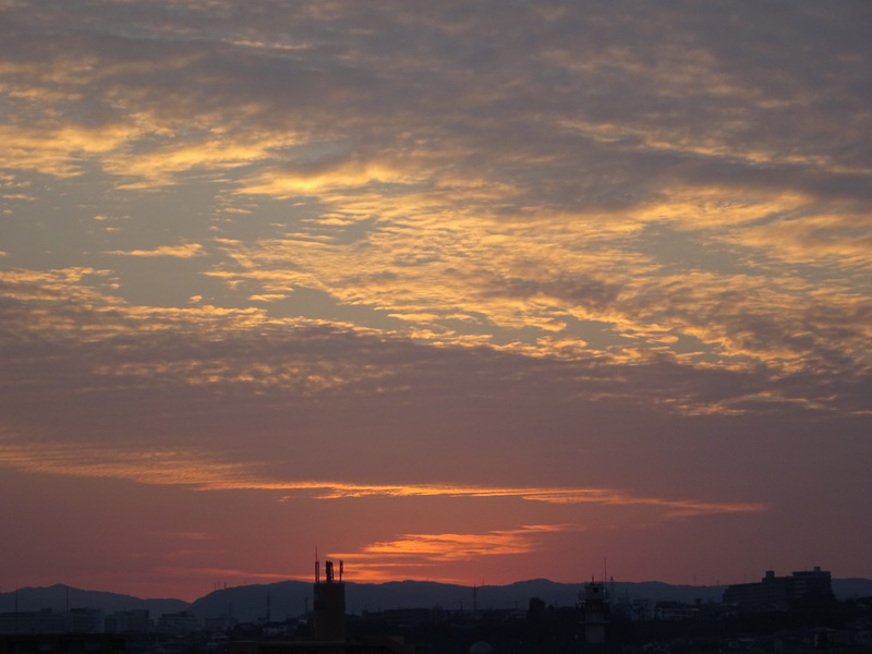 85dsc06718