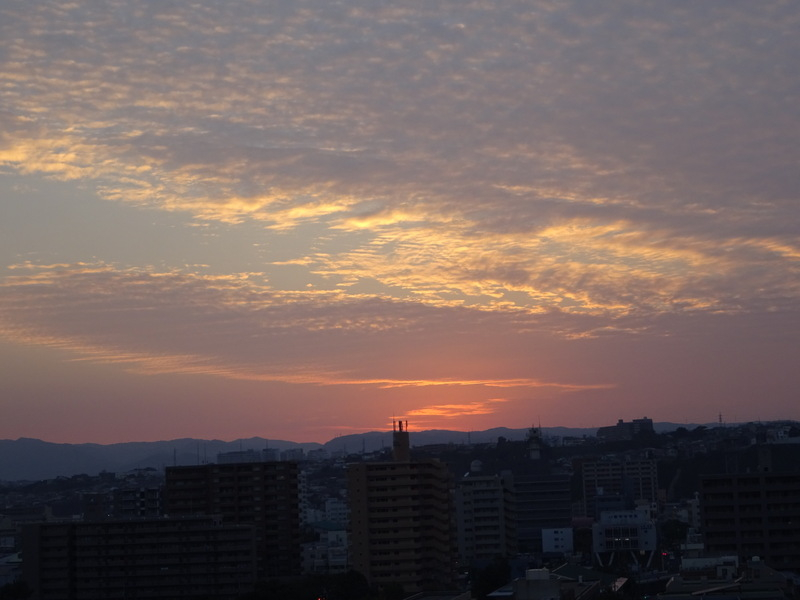 86dsc06719