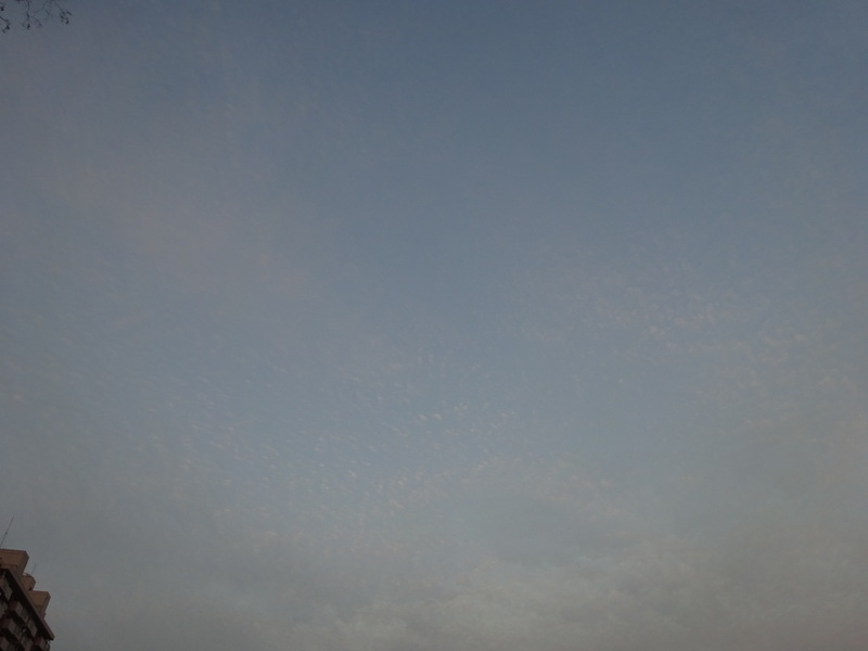 87dsc06720