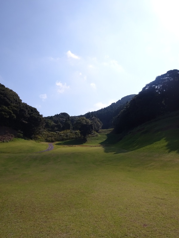 1dsc06781